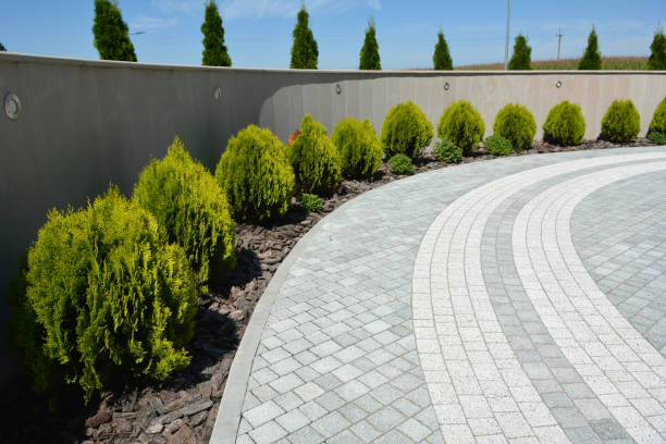 Best Driveway Pavers for Homes  in Elsa, TX