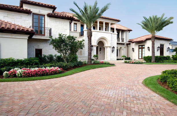 Best Driveway Paving Contractor  in Elsa, TX